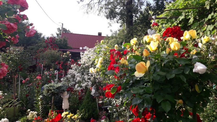  - ALBUM FINAL GRADINA 2021