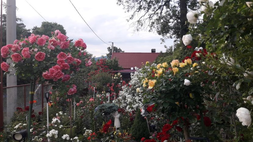  - ALBUM FINAL GRADINA 2021