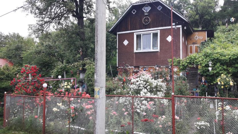  - ALBUM FINAL GRADINA 2021