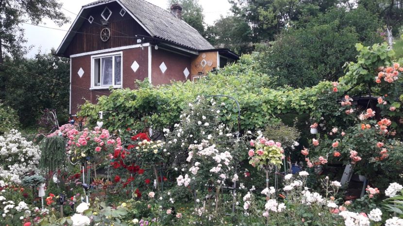  - ALBUM FINAL GRADINA 2021