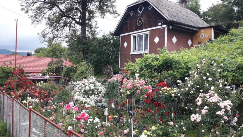  - ALBUM FINAL GRADINA 2021