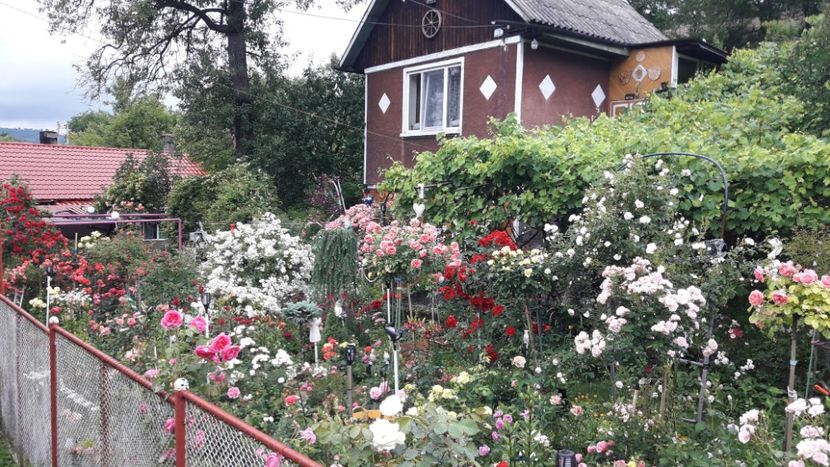  - ALBUM FINAL GRADINA 2021