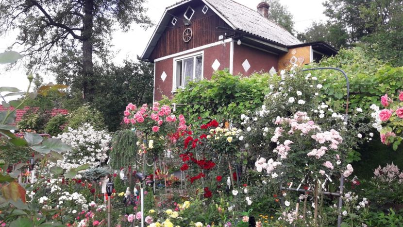  - ALBUM FINAL GRADINA 2021