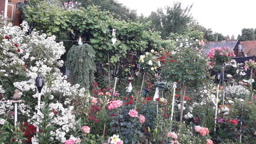  - ALBUM FINAL GRADINA 2021