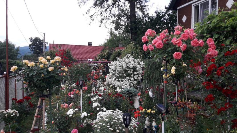  - ALBUM FINAL GRADINA 2021