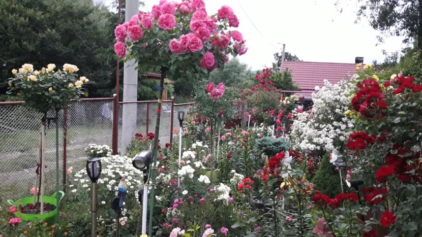  - ALBUM FINAL GRADINA 2021