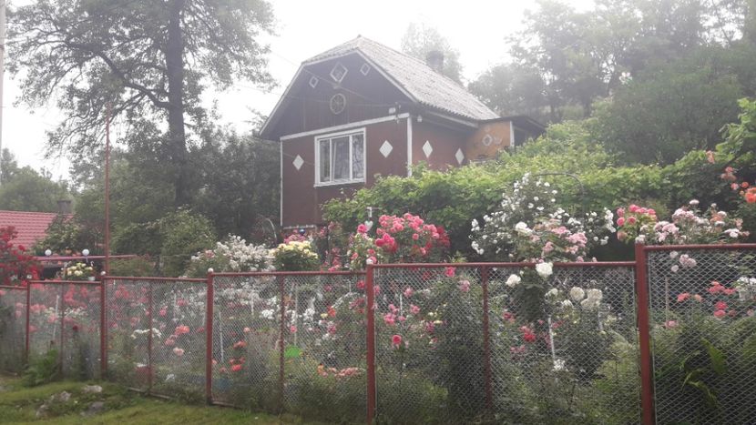  - ALBUM FINAL GRADINA 2021