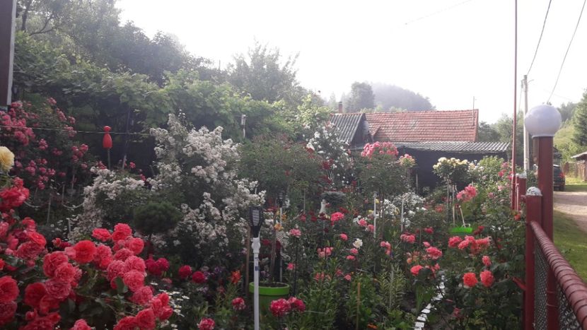  - ALBUM FINAL GRADINA 2021