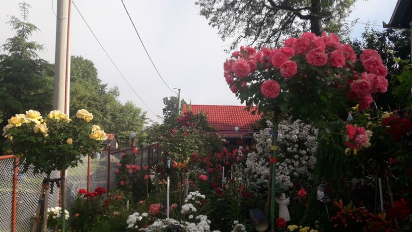  - ALBUM FINAL GRADINA 2021