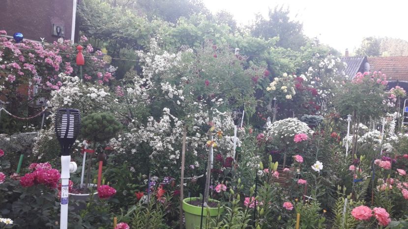  - ALBUM FINAL GRADINA 2021