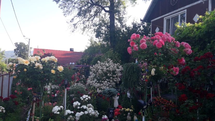  - ALBUM FINAL GRADINA 2021