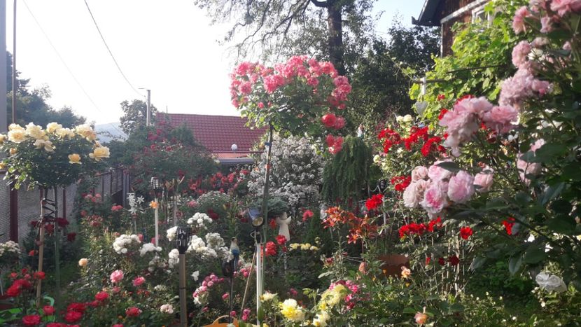  - ALBUM FINAL GRADINA 2021