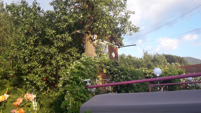  - ALBUM FINAL GRADINA 2021