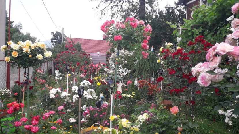  - ALBUM FINAL GRADINA 2021