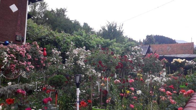  - ALBUM FINAL GRADINA 2021