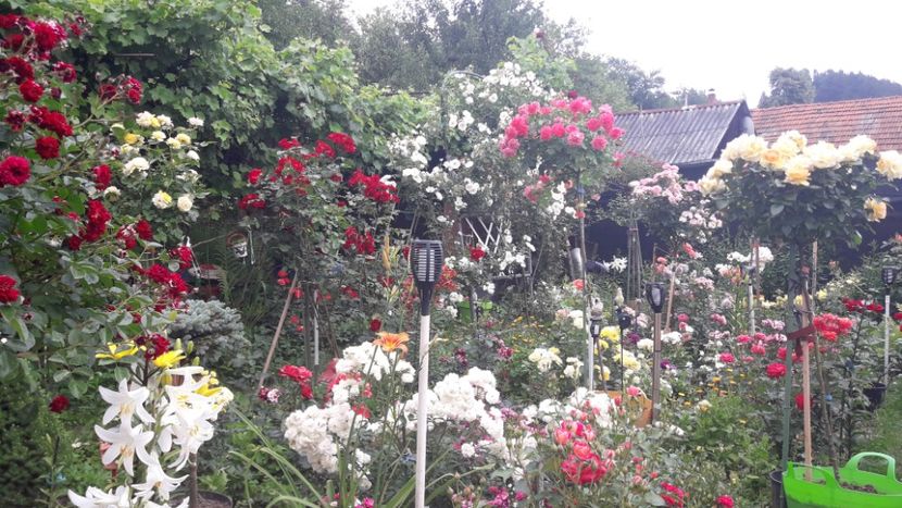  - ALBUM FINAL GRADINA 2021