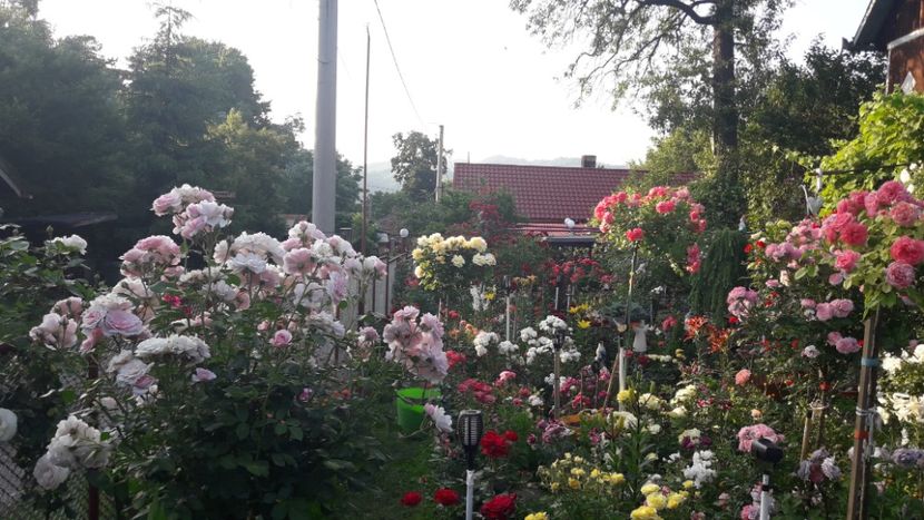  - ALBUM FINAL GRADINA 2021