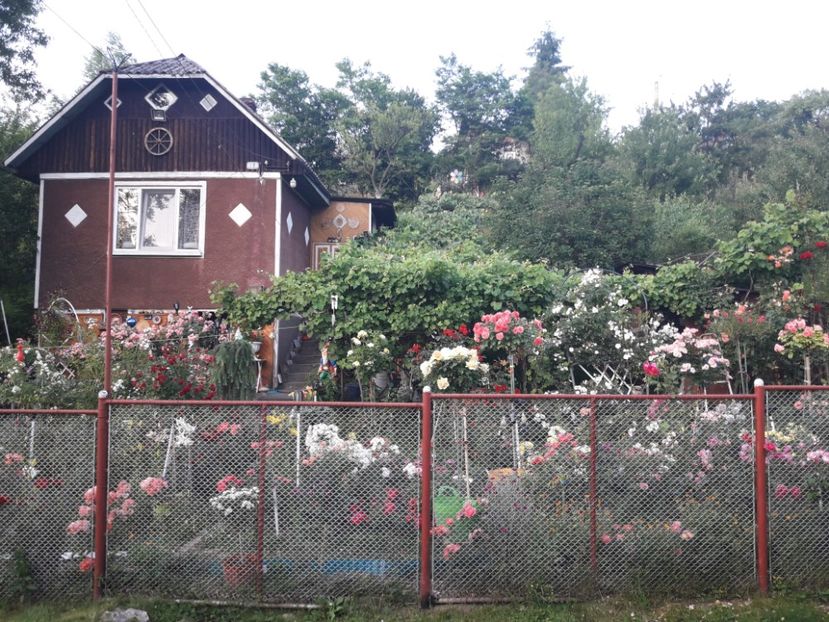  - ALBUM FINAL GRADINA 2021