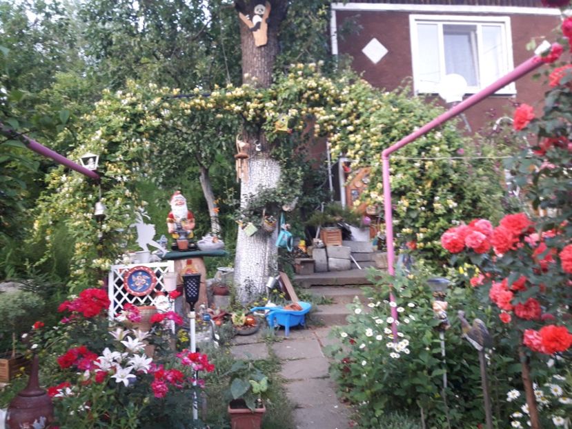  - ALBUM FINAL GRADINA 2021