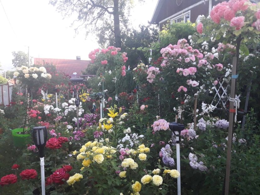  - ALBUM FINAL GRADINA 2021