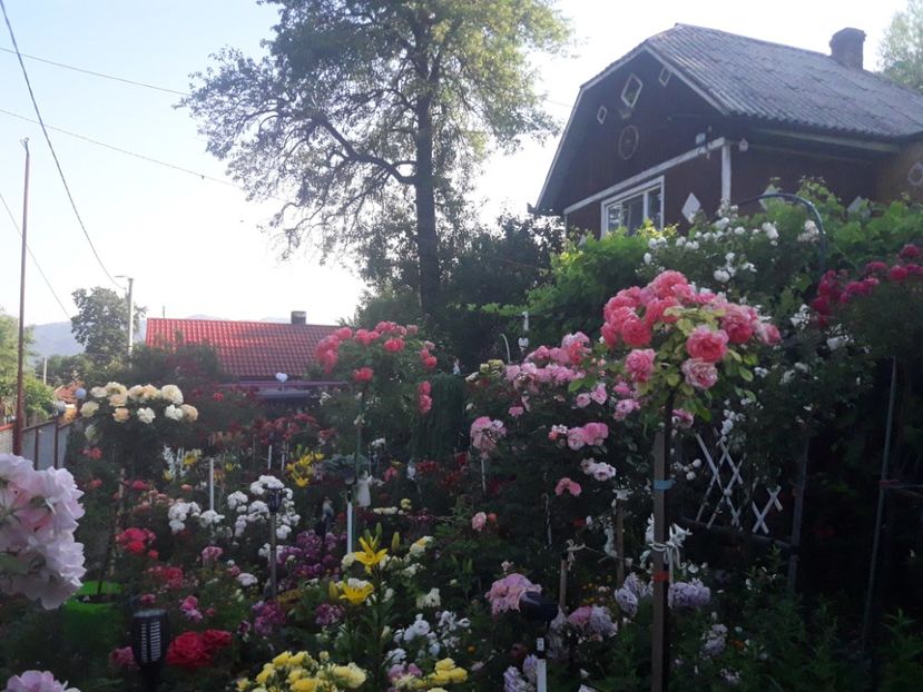  - ALBUM FINAL GRADINA 2021