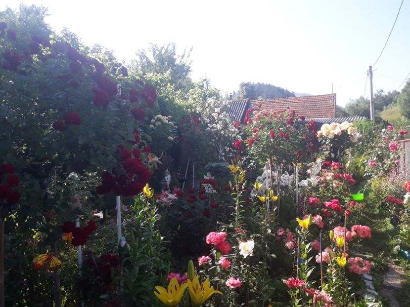  - ALBUM FINAL GRADINA 2021