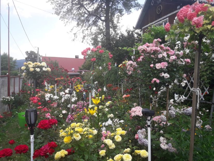  - ALBUM FINAL GRADINA 2021