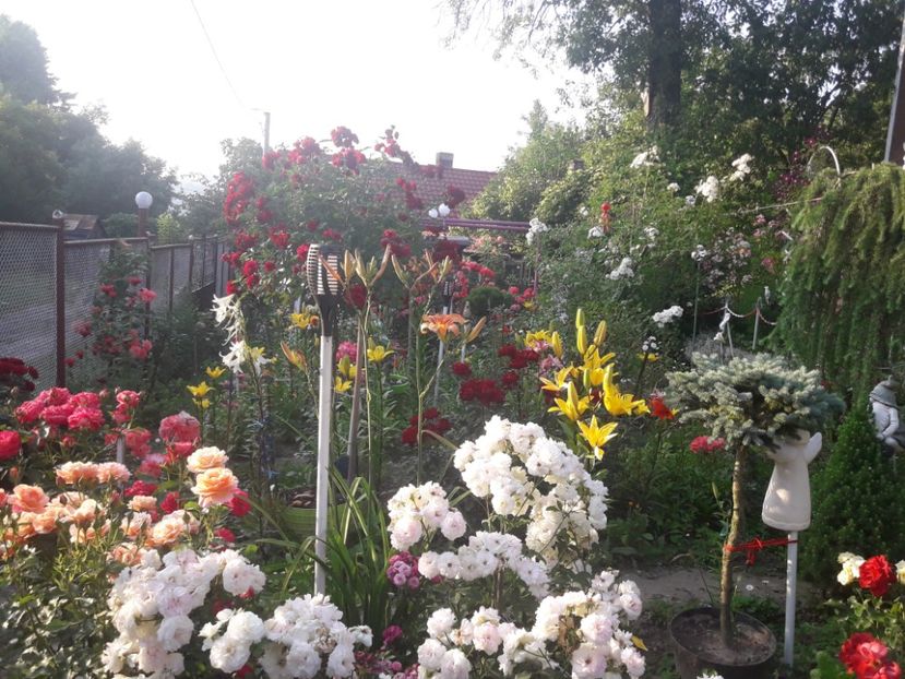  - ALBUM FINAL GRADINA 2021