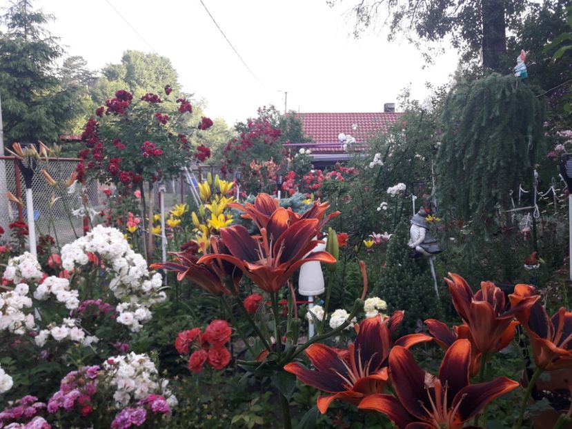  - ALBUM FINAL GRADINA 2021