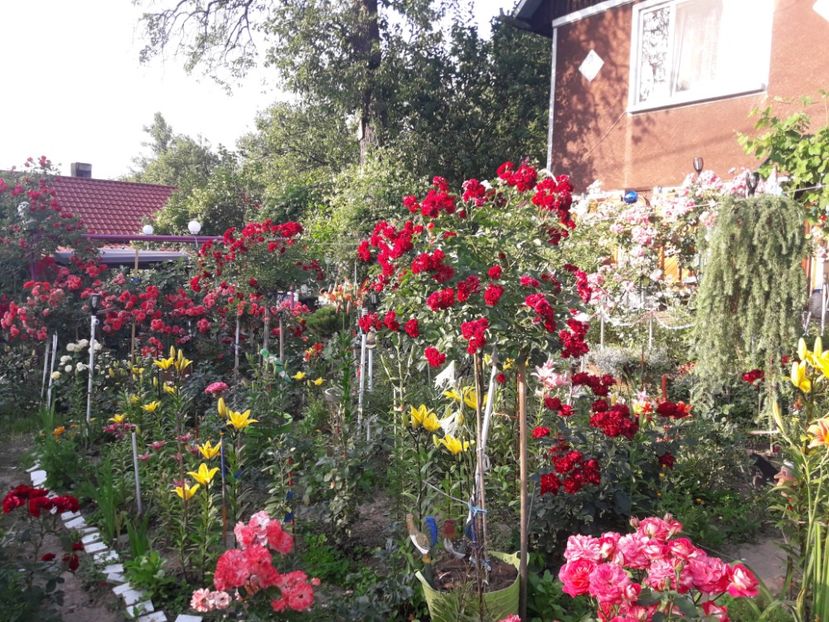  - ALBUM FINAL GRADINA 2021