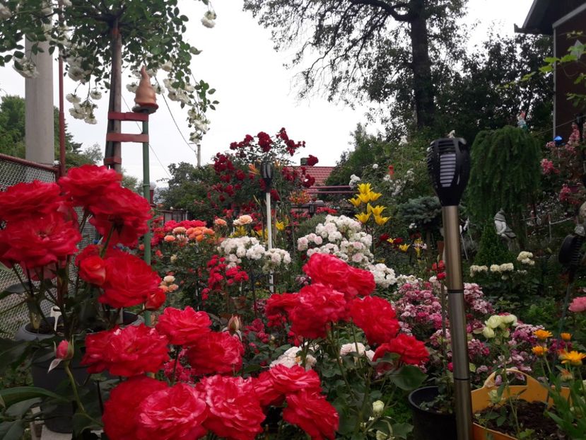  - ALBUM FINAL GRADINA 2021