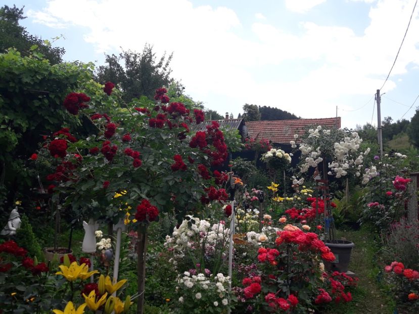  - ALBUM FINAL GRADINA 2021