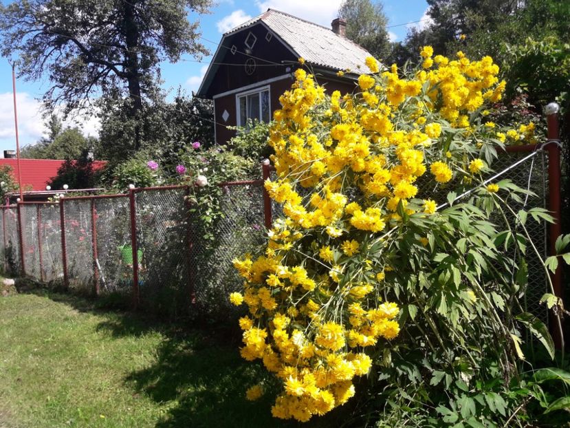  - ALBUM FINAL GRADINA 2021