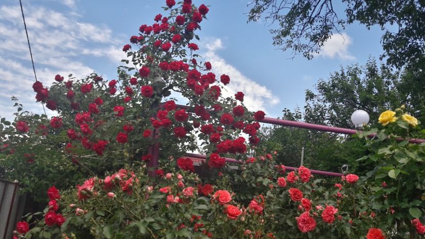  - ALBUM FINAL GRADINA 2021