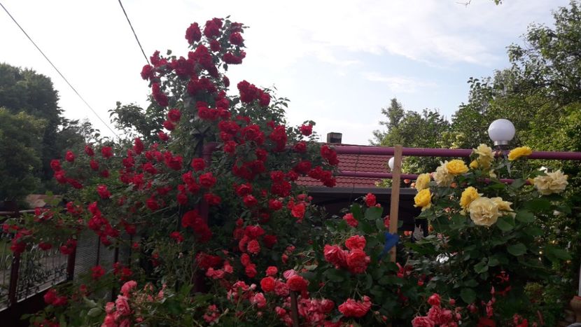  - ALBUM FINAL GRADINA 2021