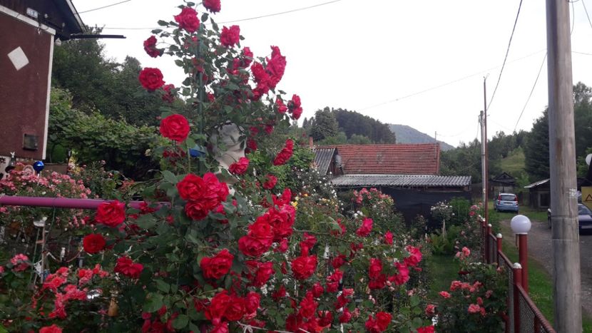  - ALBUM FINAL GRADINA 2021