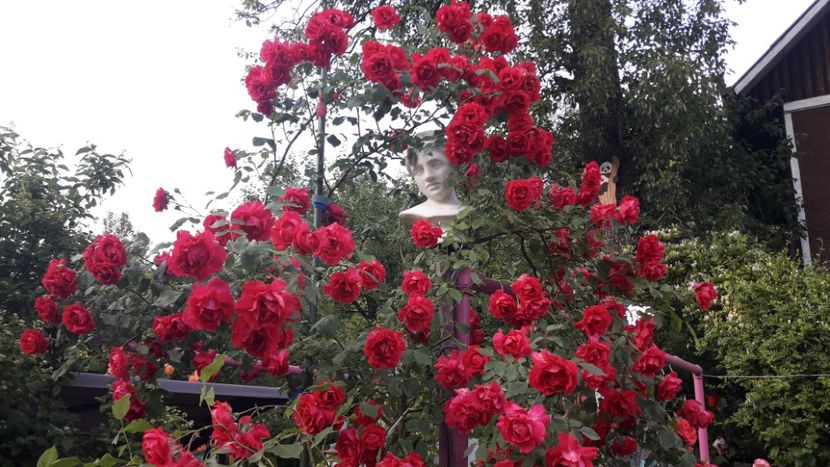  - ALBUM FINAL GRADINA 2021