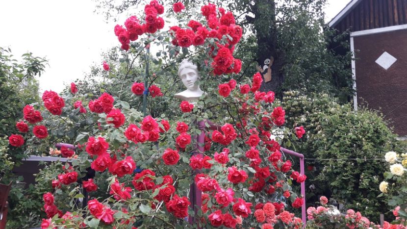  - ALBUM FINAL GRADINA 2021