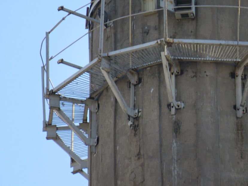  - dusmanul natural al porumbeilor