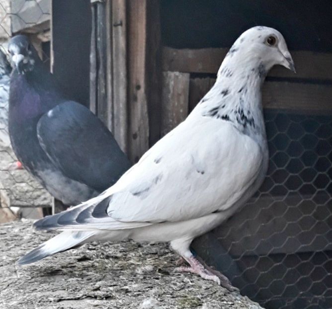 IMG-20220205-WA0012 - 2022