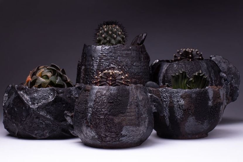 Pipyr Pottery﻿ - Vase - aranjamente - accesorii