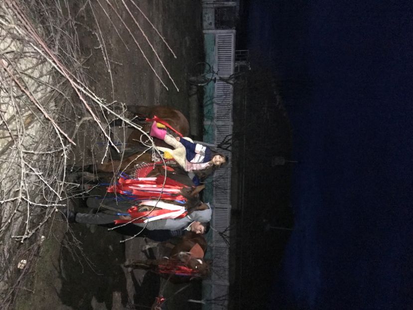 470E60ED-DE0D-4570-9F45-2F256E712FA3 - Crăciun 2021