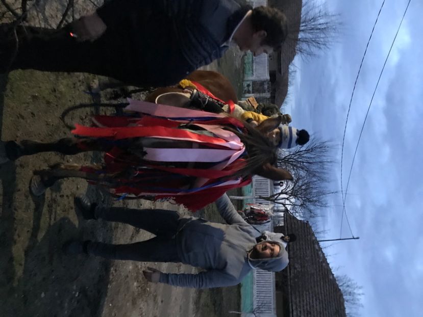 B4E94C54-F70C-4C55-AFDE-4396D0589C2C - Crăciun 2021