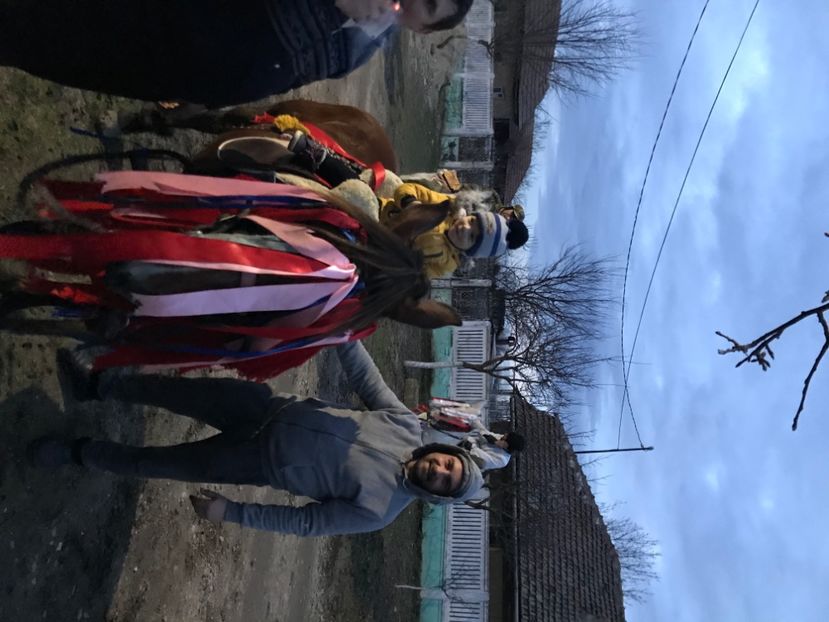 835503FD-4DE2-48D0-BCE7-0D59EB3DC235 - Crăciun 2021