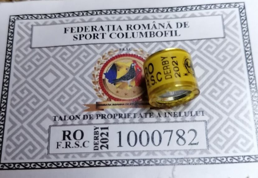 Ro Frsc Derby 2021 - FRC-FRSC