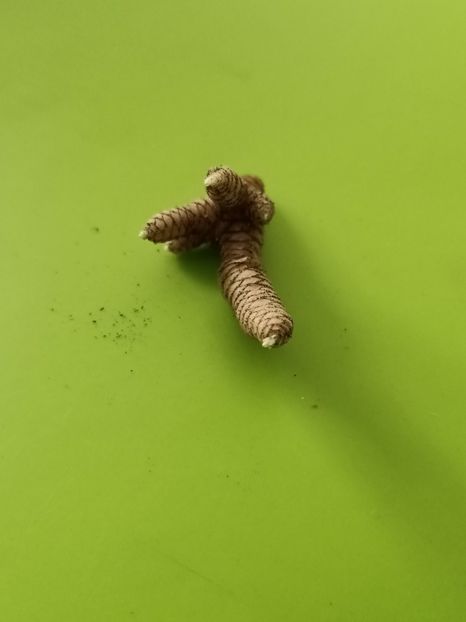 Img.2022.02.07 - BriDs 41m