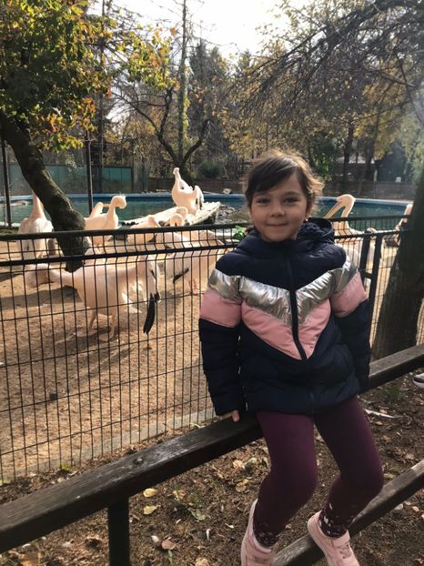 17AF934B-F48E-4DA2-AA79-B703A474ABD0 - Familia