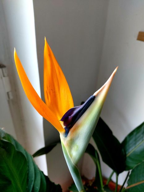  - Ianuarie -februarie2022