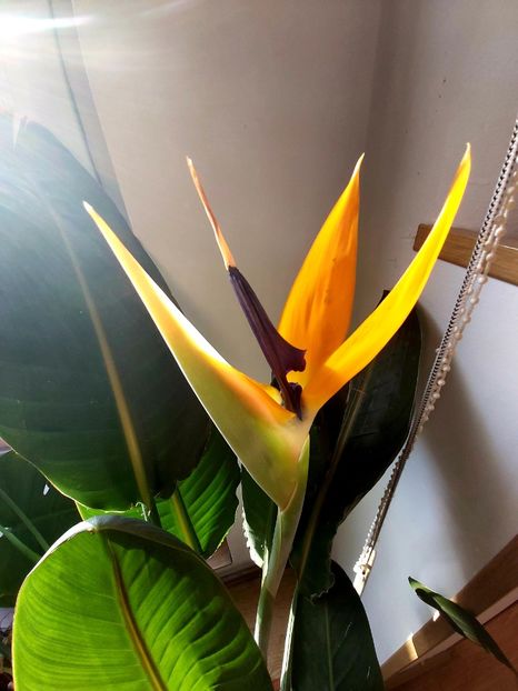  - Ianuarie -februarie2022