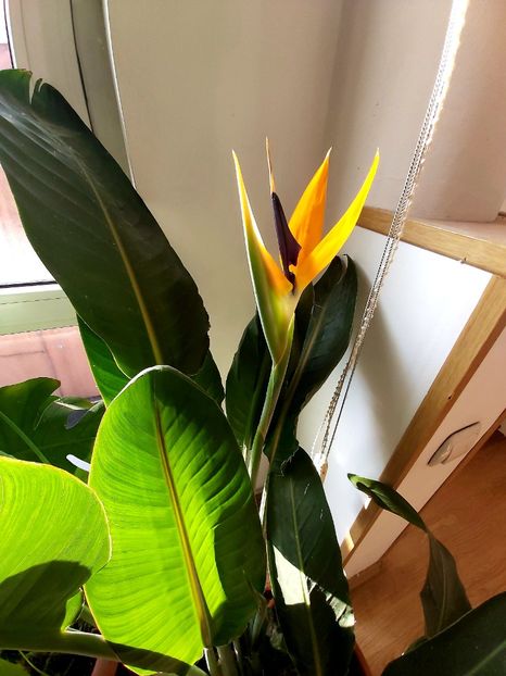  - Ianuarie -februarie2022